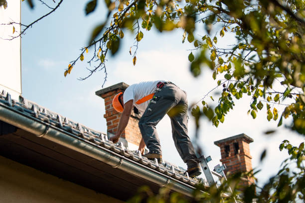 Best Roof Gutter Cleaning  in Minot, ND