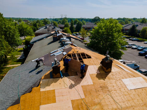 Best Roof Repair Services  in Minot, ND