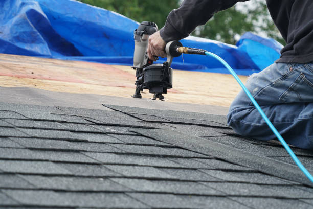 Best Roof Gutter Cleaning  in Minot, ND