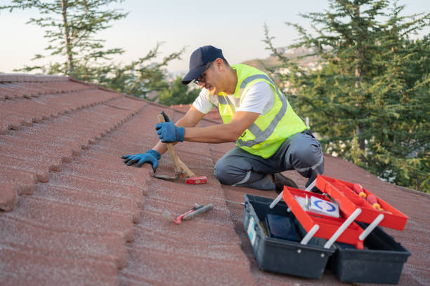 Best Residential Roofing Contractor  in Minot, ND