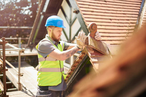 Professional Roofing Contractor in Minot, ND