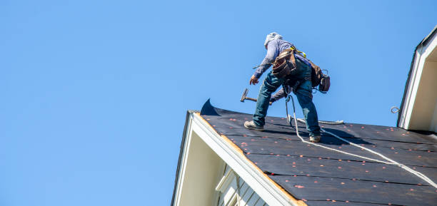 Best Shingle Roofing Installation  in Minot, ND